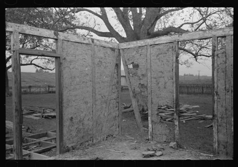 Side wall of old house dating from early nineteenth century showing details of construction. Showing use of mud and mos…