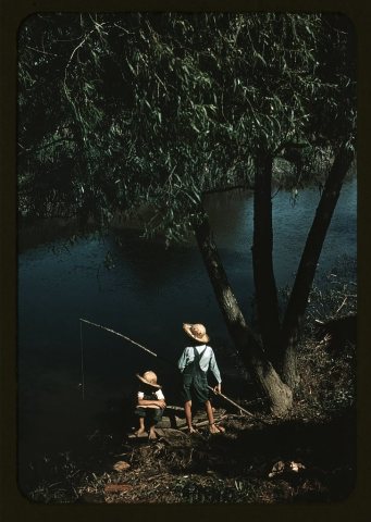 Boys fishing in a bayou, Schriever, La