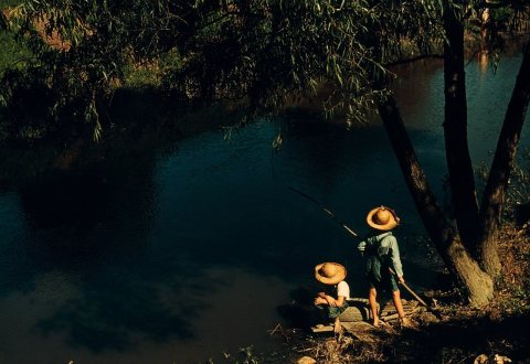 Boys fishing in a bayou
