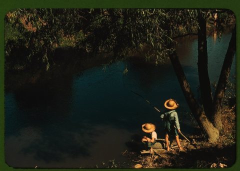 Boys fishing in a bayou, Schriever, La. Cajun children in a bayou near the school. Terrebonne, a Farm Security Administ…