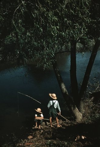Boys fishing in a bayou, Schriever, La.1a34360v