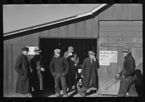 Farmers on front of lunch shed, country auction