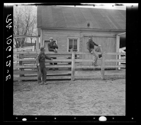 Attendants at the stockyard