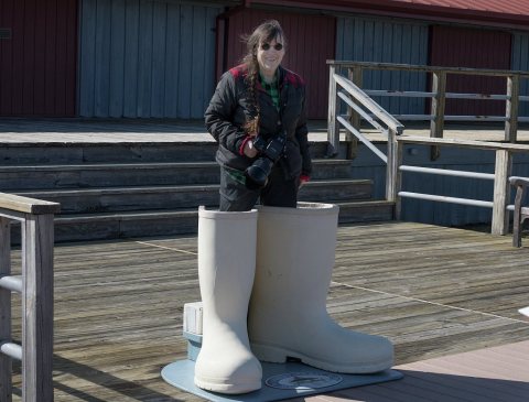 American photographer Carol M. Highsmith had big shoes to fill outside some stores in [Grasonville], on the mostly rura…