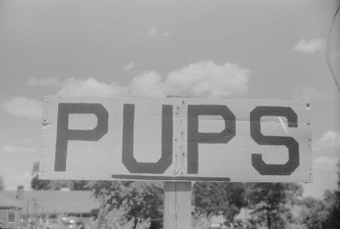 [Untitled photo]
