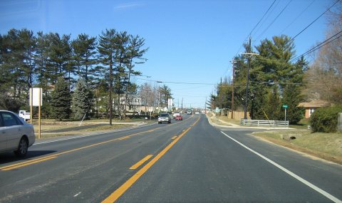Untitled photo