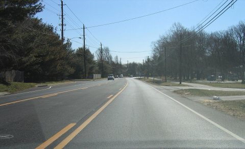 Untitled photo
