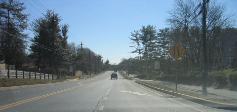 Untitled photo