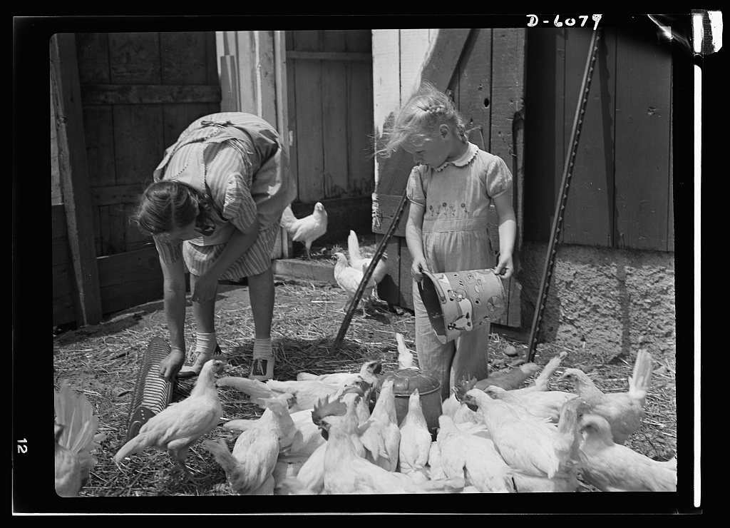 Agriculture. Women on farms. 8b07421v