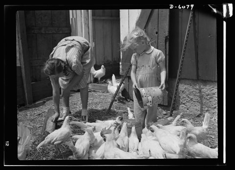 Agriculture. Women on farms. 8b07421v
