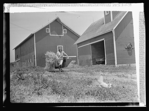 Agriculture. Women on farms. 8b07422v