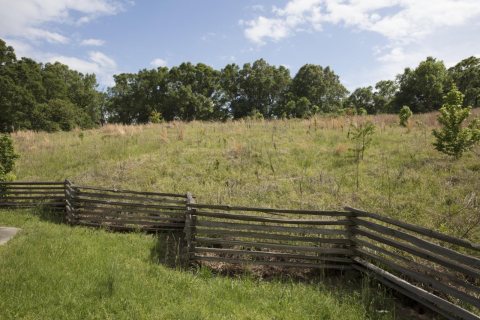 Scene near the Mangum Mound, an ancient burial mound located at milepost 45.7 on the Natchez Trace Parkway