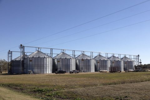 Procession of grain silos in DeSoto County, Mississippi, near Arkabutla