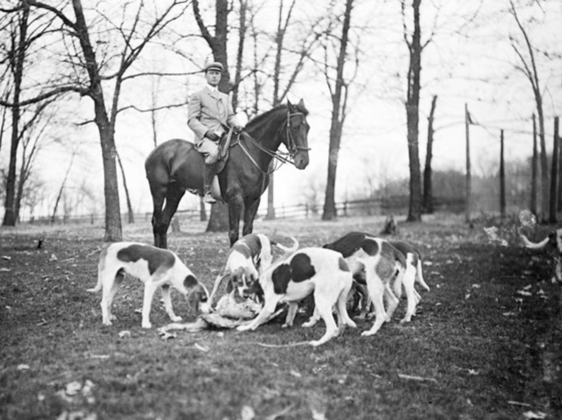Fox Hunting at Midlothian Country Club