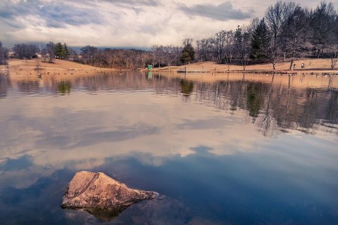 Bee tree lake