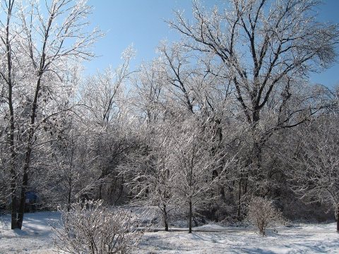 Oakville, MO 63129, USA