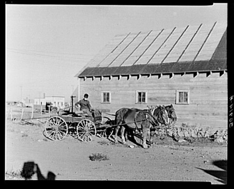 William Hunter in his buckboard. Antelope, Montana