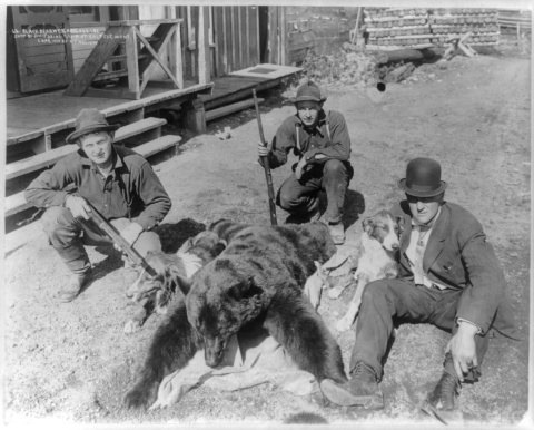 Black bear weighing 252 lbs. shot by Jim O'Brine 5-12-10 at Saltese, Mont