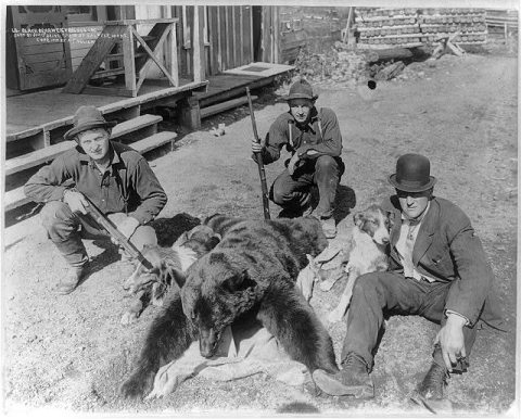 Black bear weighing 252 lbs. shot by Jim O'Brine 5/12/10 at Saltese, Mont