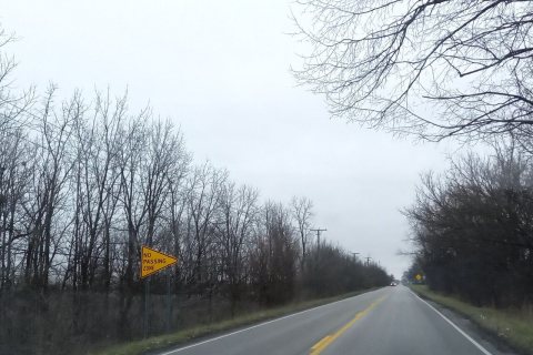 Cottage Grove Ave south - Glenwood, IL - December 2021