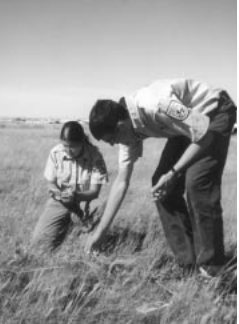 SCEP students small mammal survey