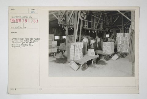 Industries of War - Canning - AFTER COOLING THEY ARE PLACED in boxes and taken to storehouses and put in piles. Hoopest…