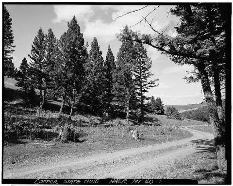 Copper State Mine