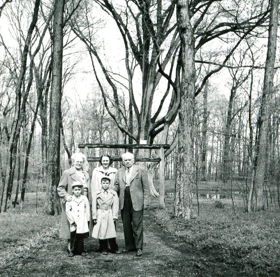 Shabbona Tree 1955