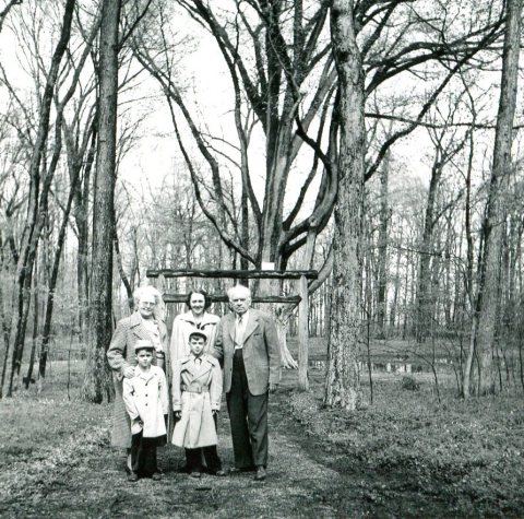 Shabbona Tree 1955