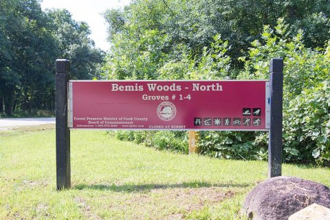 Bemis Woods North Westchester Illinois-12066