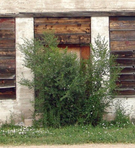 "Closed" Roscoe, Nebraska 7-24-13d