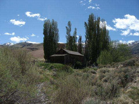 Homestead in