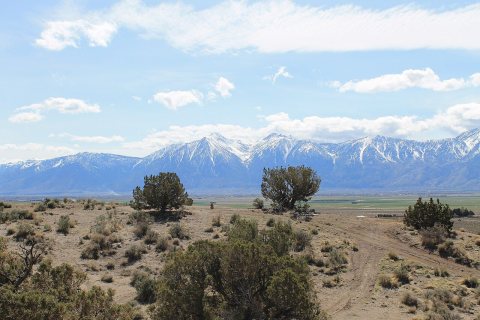 Johnson Lane - panoramio (16)