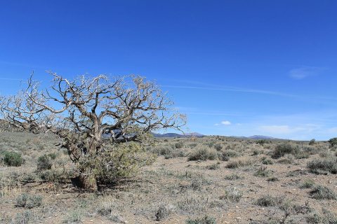 Johnson Lane - panoramio (5)