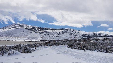Cold Springs in Winter