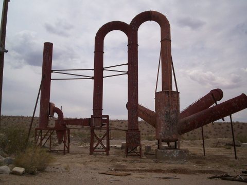 Old Plant