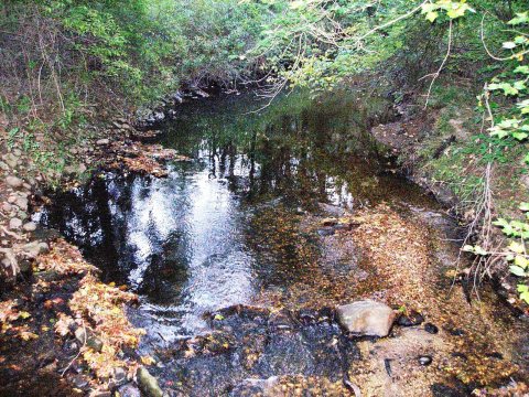 Cook Preserve, Kingston, NJ - panoramio (1)
