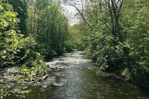 Paulins Kill rapids