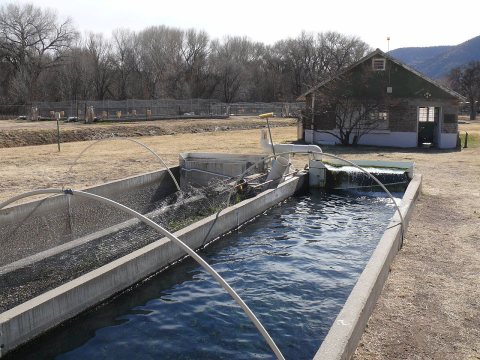 Glenwood - Fish hatchery - 2