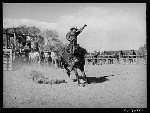 Russellrodeo