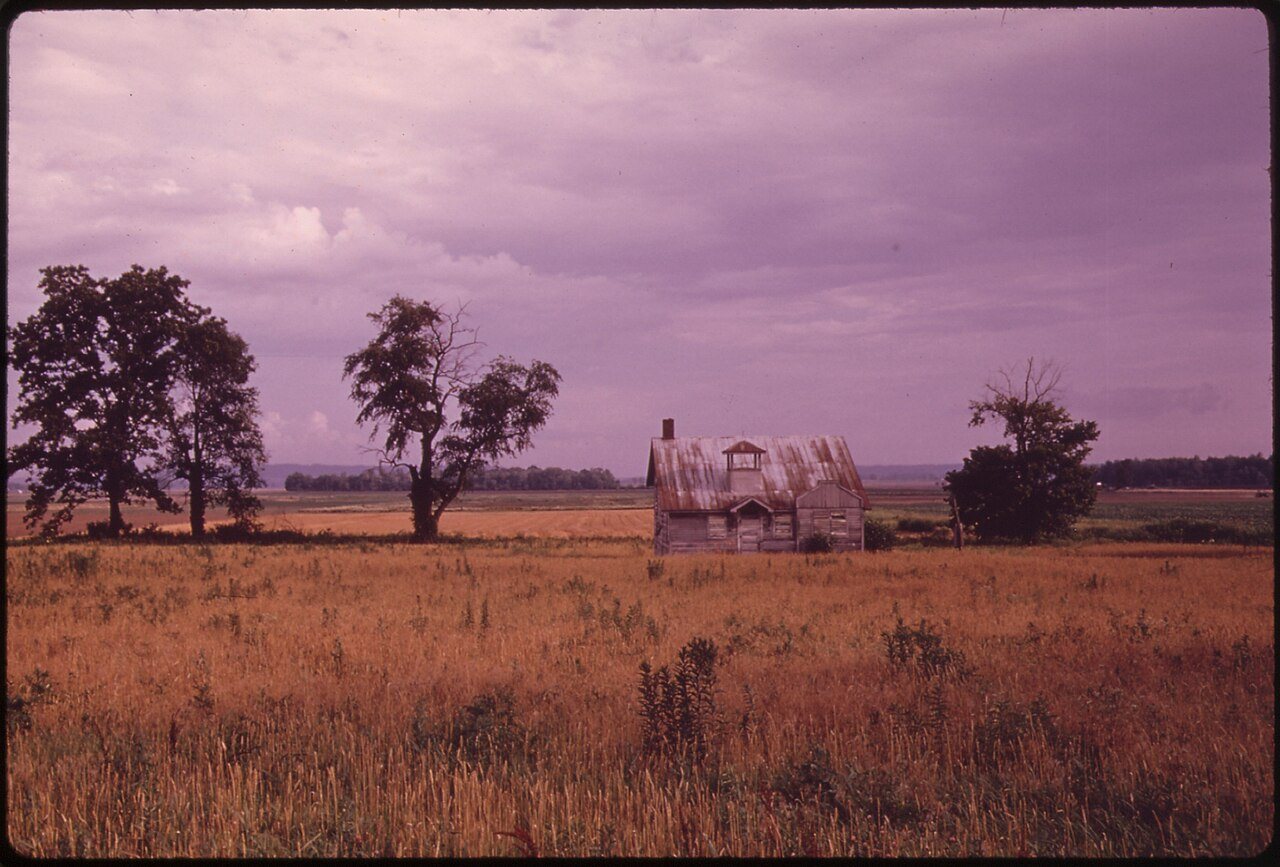 JUST BEFORE RAIN--NEAR