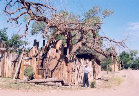 Turquoise Trail - A Large Dead Tree in Cerrillos