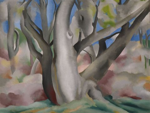 Trees at Glorieta, New Mexico Georgia O’Keeffe
