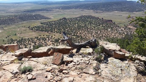 Prewitt Landscape