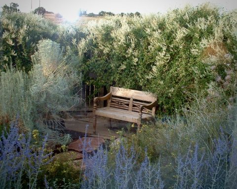 Garden at our Eldorado house near Santa Fe, circa 2008