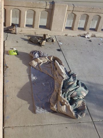The American Dreamer has Left the House, 2012