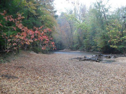 Hamilton, AL, USA - panoramio (8)