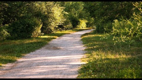 Wandering Around the Massapequa Preserve