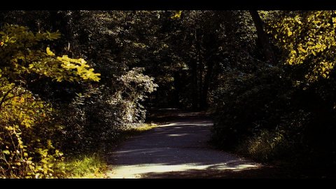 A Late Afternoon Stroll in the Massapequa Preserve-Letterboxing