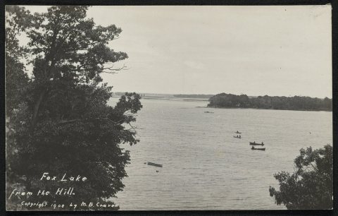 Fox Lake from the hill